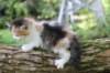 deborahf03244viikkoa288202817_small.jpg