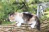 deborahf03244viikkoa288202823_small.jpg