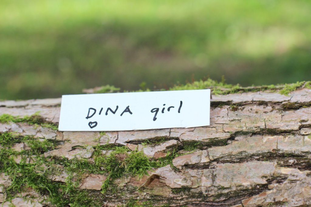 dinahf03244viikkoa28820281.jpg