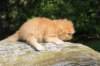 dorid24158202646_small.jpg
