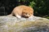 dorid24158202650_small.jpg