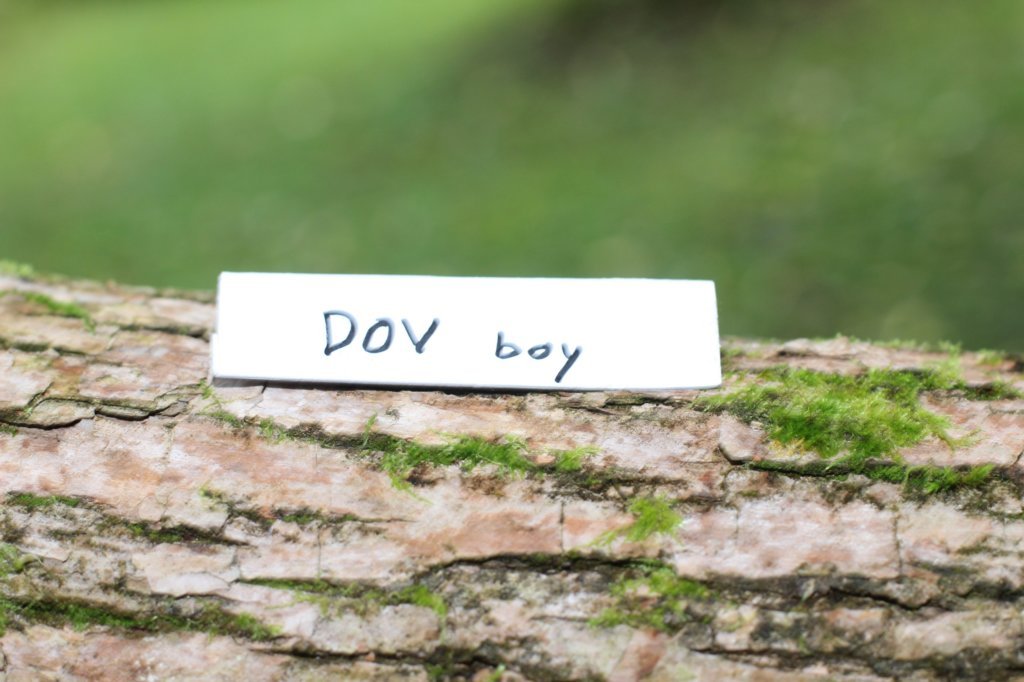 dov6viikkoa1691.jpg