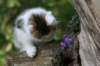 img_9603_small.jpg