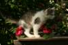 img_8666_small.jpg