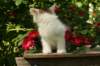 img_8673_small.jpg