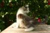 img_8676_small.jpg