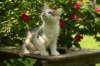 img_8680_small.jpg