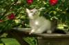 img_8686_small.jpg