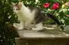 img_8688_small.jpg