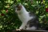 img_8704_small.jpg