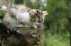 deboraimg_9405_small.jpg