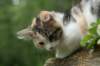 deboraimg_9417_small.jpg