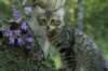 amurinderbe12weeks3172012_small.jpg