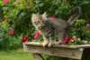 img_8592_small.jpg