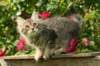 img_8600_small.jpg