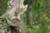 img_9561_small.jpg