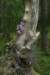 img_9579_small.jpg