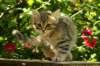 img_8744_small.jpg