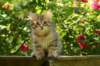 img_8746_small.jpg