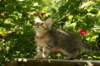 img_8750_small.jpg