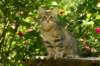 img_8754_small.jpg