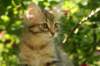 img_8760_small.jpg