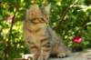 img_8761_small.jpg