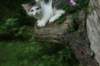 img_6759_small.jpg