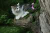 img_6760_small.jpg