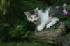 img_6763_small.jpg