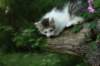 img_6764_small.jpg