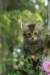 derbe7_small.jpg