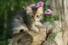 img_6379_small.jpg