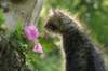 img_6388_small.jpg
