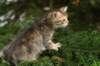 img_5690_small.jpg