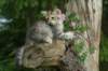 img_6539_small.jpg