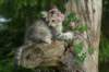 img_6540_small.jpg