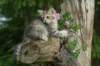 img_6541_small.jpg