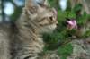 img_6547_small.jpg