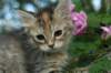 img_6549_small.jpg