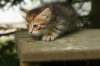 img_5599_small.jpg