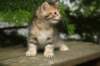 img_5626_small.jpg