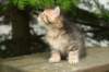 img_5630_small.jpg