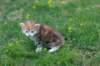 danna8weeks2552016_small.jpg
