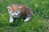dannaimg_7153_small.jpg