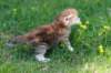 dannaimg_7154_small.jpg