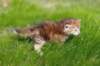 dannaimg_7157_small.jpg