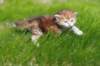 dannaimg_7159_small.jpg