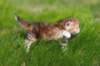dannaimg_7163_small.jpg