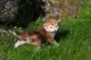 dannaimg_7169_small.jpg